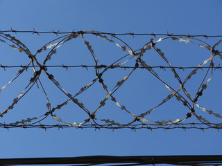 Barbed wire fence in the blue sky