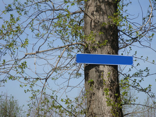 sign in the tree in forest