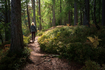 Woman walking through forest with sunflare - Powered by Adobe