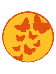 viele bunte schmetterlinge gelb kreis rund sonne muster silhouette insekt flügel fliegen frühling schön hübsch logo design cool