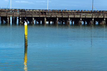 pole and pier on the bay
