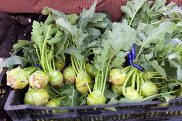 Green kohlrabi at farmers market