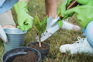 Fototapeta premium gesture of hand planting a new plant on pot put some soil in it. gardening activity with family