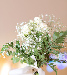 Fototapeta premium Flores