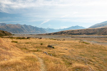 Walking trail in Hakatere Conservation Park, South Island of New Zealand