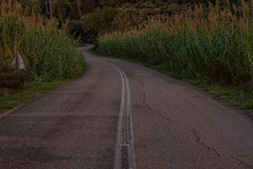 soft focus poor old empty car road in rural outdoor environment twilight evening lighting 