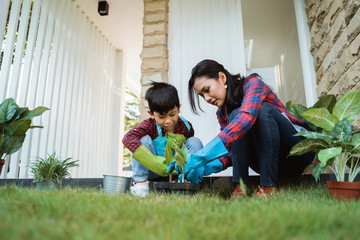 mom and son planting new plant on pot put some soil in it. gardening activity with family