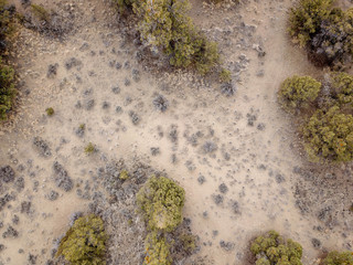 Looking Down on a Desert Scene