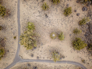 Looking Down on a Path Through a Desert Scene