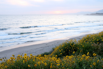 Rincon Beach in Carpinteria, California at Dusk