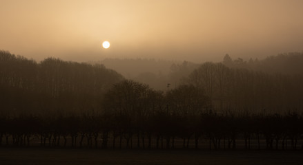Foggy and moody sunrise