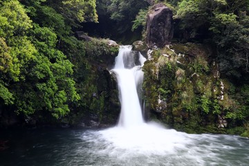 Fototapeta na wymiar 観音滝の風景