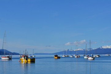fishing boats in harbor