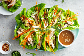 Asian inspired grilled chicken carrot and ginger lettuce wraps