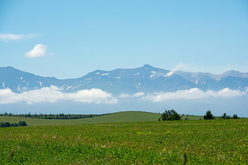 Fototapeta premium 夏の山並み 十勝岳