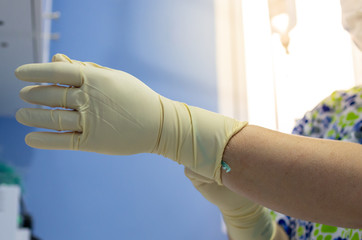 Sterile gloves placement by a veterinarian