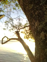 Sol se pondo ao fundo, no horizonte