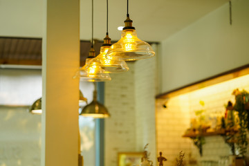 Beautiful modern luxury interior hanging lamp decoration growing in the dining room.