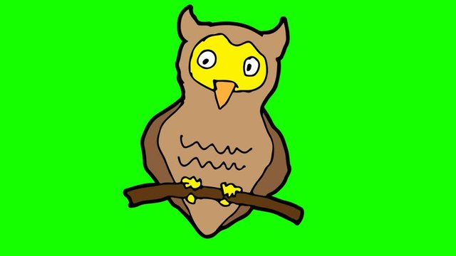 kids drawing green screen with theme of owl