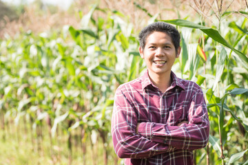 Naklejka na ściany i meble Asian farmer arms crossed in organic corn field, Thailand