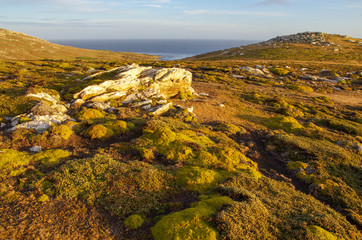 Falkland Islands Landscape