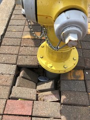 Fire hydrant with sinking pavers bricks around it