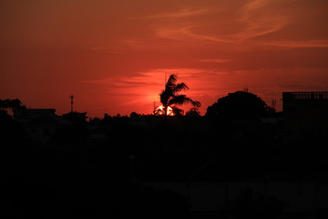 silhouette of biker in sunset