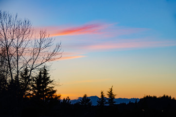 Obraz premium The last minutes of sun - Summer days 