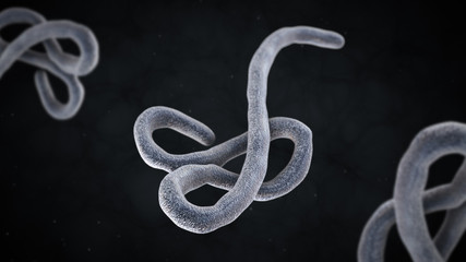 3D illustration of ebola virus