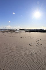 高戸海岸（前浜）