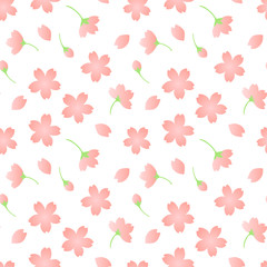 cherry blossom seamless pattern