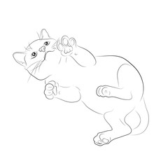 Vector illustration. Sketch of a kitten.EPS 8