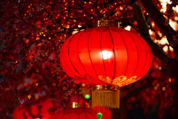 Obraz premium Chinese new year lanterns in china town