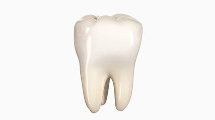 3D illustration of a tooth