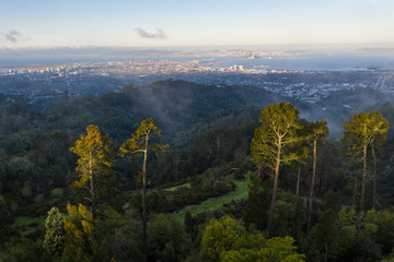 Aerial view of East Bay hills, Oakland and San Francisco Bay