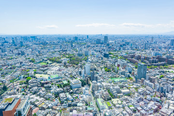 春の東京風景 Tokyo city skyline , Japan