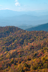 Great Smoky Mountain Fall Color