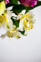 Obraz premium Spring Floral Arrangement