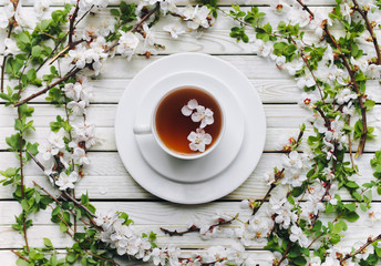 White cup and apricot tea dish with branches of flowering apricot. The concept of herbal medicine. Top view and copy space. Treatment of cold and flu.