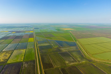The rice fields are flooded with water. Flooded rice paddies. Agronomic methods of growing rice in the fields.
