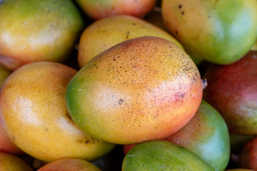 Fresh colorful tropical mangoes on display at outdoor farmers market at little India, street market, Singapore , closeup, mango background