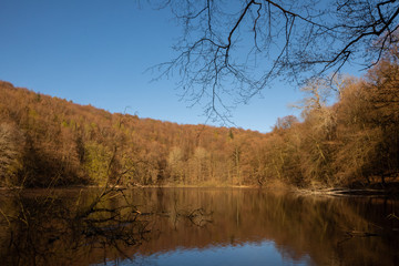 Fototapeta na wymiar Ukleisee mit Wald im Frühling