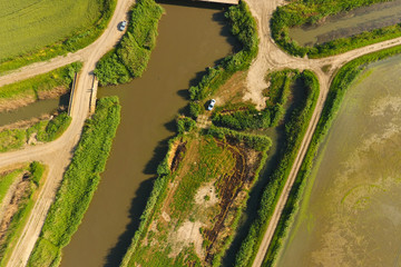 The rice fields are flooded with water. Flooded rice paddies. Agronomic methods of growing rice in...