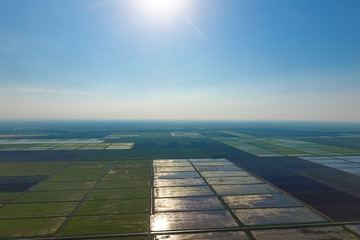 The rice fields are flooded with water. Landscape in front of the sun. Flooded rice paddies. Agronomic methods of growing rice in the fields.