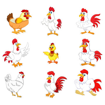 Cartoon rooster collection set