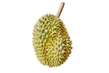 Ripe durian on white background. Isolated of tropical fruit