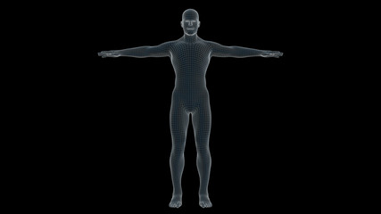 3d illustration of a man xray hologram