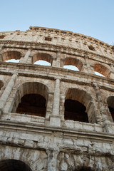 Naklejka premium colosseum in rome