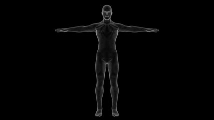 Fototapeta na wymiar 3d illustration of a man xray hologram