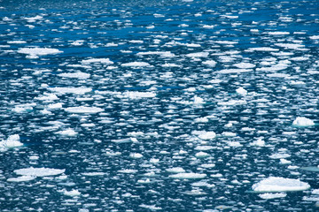 オホーツク海の流氷